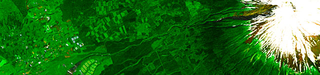衛星写真・衛星画像・空撮   静岡市