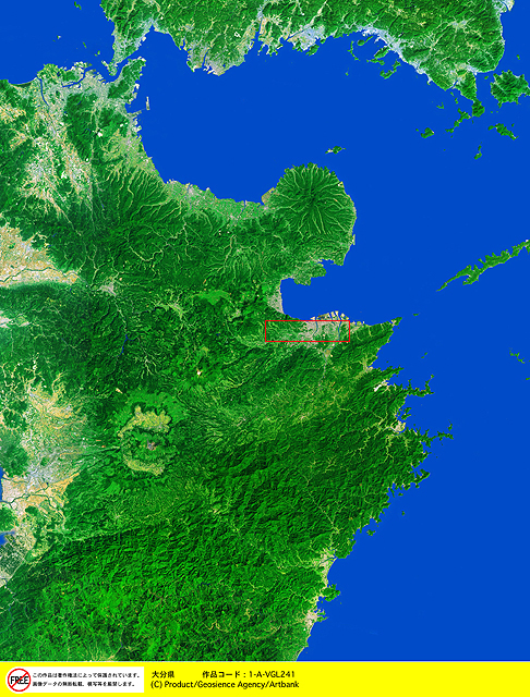 衛星写真・衛星画像・空撮 大分県