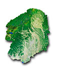栃木県の衛星写真