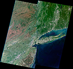 ニューヨーク　衛星写真