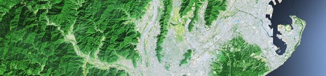 衛星写真・衛星画像・空撮  静岡県・半調・影1