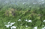 GIS}bv3DՐ}EՐ}